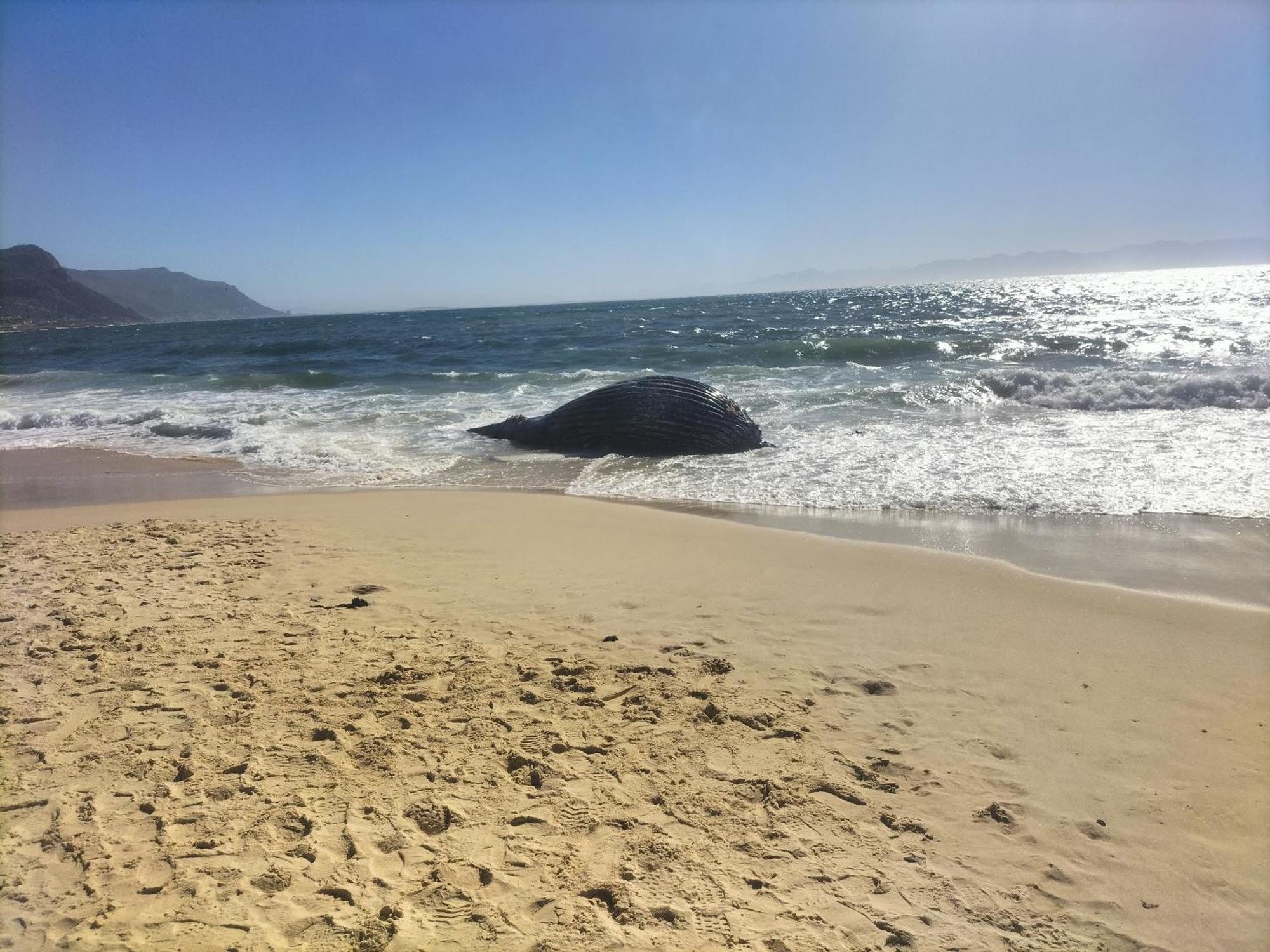 Casa Delfina Villa Simonʼs Town Екстериор снимка