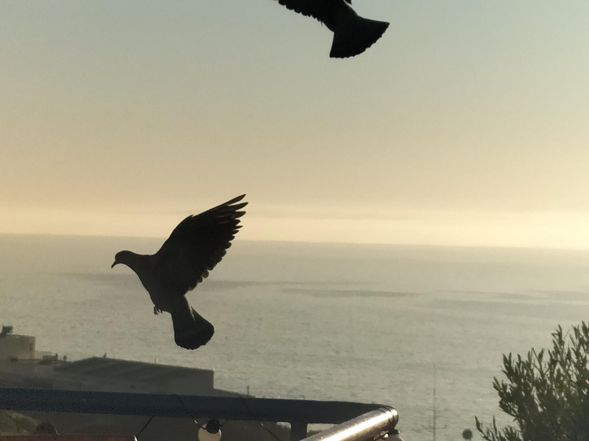 Casa Delfina Villa Simonʼs Town Екстериор снимка